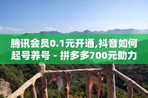 卡盟排行,买一个抖音账号多少钱,tiktok海外版赚钱靠谱么 -微信自助下单小程序怎么做出来的 卡盟排行,买一个抖音账号多少钱,tiktok海外版赚钱靠谱么 -微信自助下单小程序怎么做出来的
