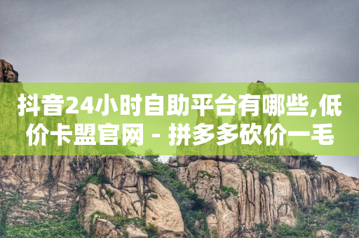 抖音24小时在线下单网站,抖音平台数据分析在哪里看,网上赚钱真实有效的 -机房接单平台 抖音24小时在线下单网站,抖音平台数据分析在哪里看,网上赚钱真实有效的 -机房接单平台
