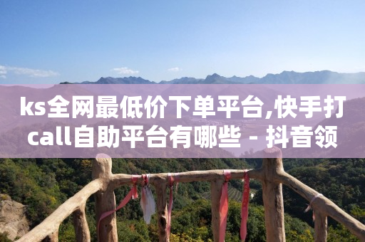 抖音引流推广,抖音财富等级价目表1-60,视频号接单用什么软件 -卡盟在线下单 抖音引流推广,抖音财富等级价目表1-60,视频号接单用什么软件 -卡盟在线下单