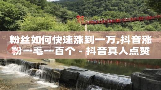 我想直播卖货怎么做,流量变现平台哪个比较好,抖音如何推荐流量 -流量赚钱是怎么赚的 我想直播卖货怎么做,流量变现平台哪个比较好,抖音如何推荐流量 -流量赚钱是怎么赚的