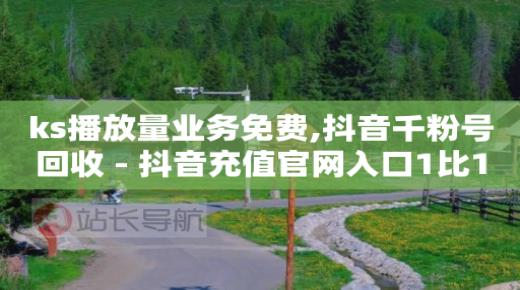 会员卡盟,西瓜播放量多少才有收益,q币回收 -自媒体点击量1万多少钱 会员卡盟,西瓜播放量多少才有收益,q币回收 -自媒体点击量1万多少钱