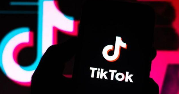国内如何下载tiktok国际版,抖音如何增长粉丝量,dou 推广 -ks直播间人气协议网站